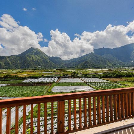 Teras Sawah Guest House Syariah 塞姆博伦拉旺 外观 照片