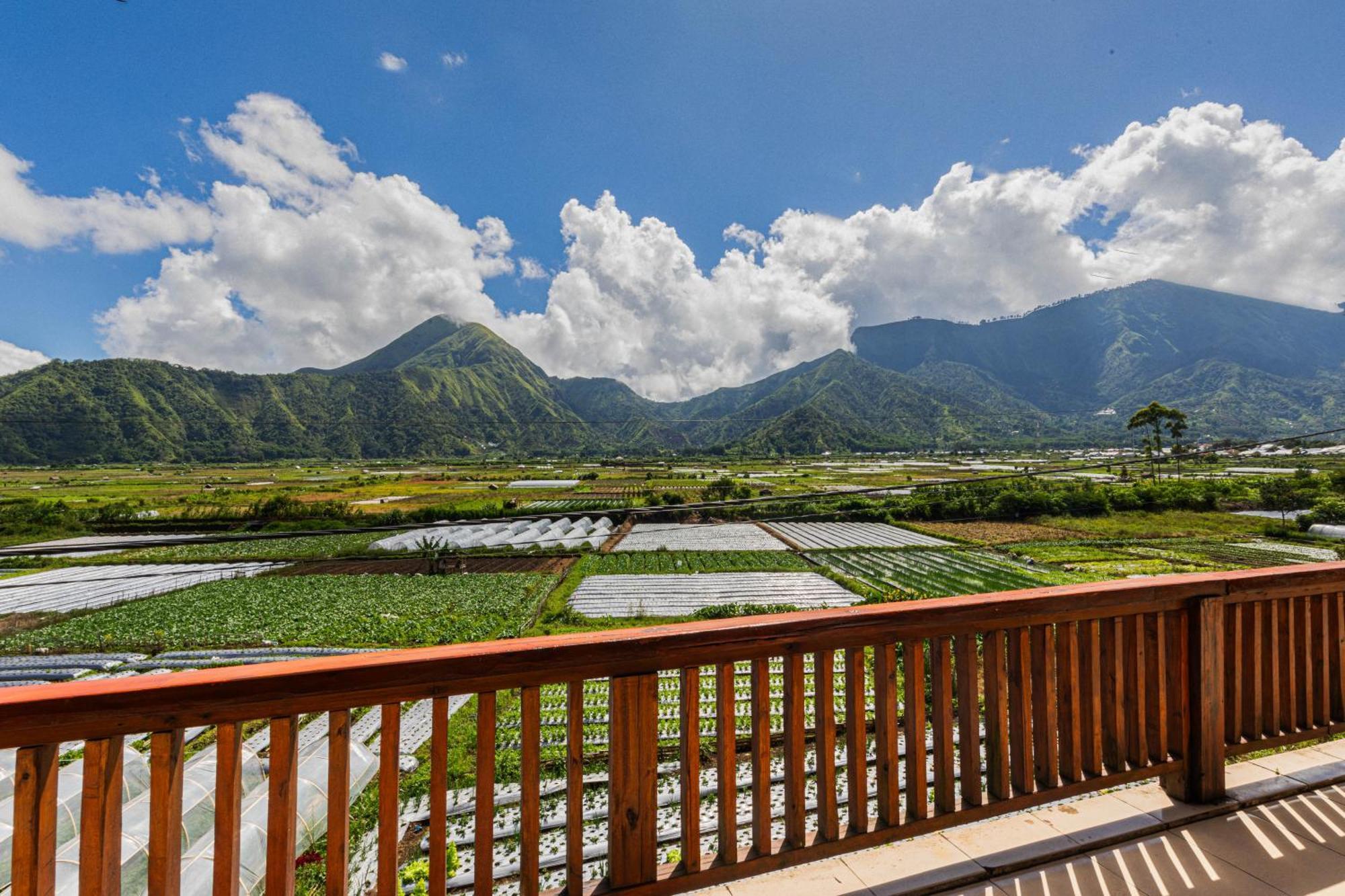 Teras Sawah Guest House Syariah 塞姆博伦拉旺 外观 照片