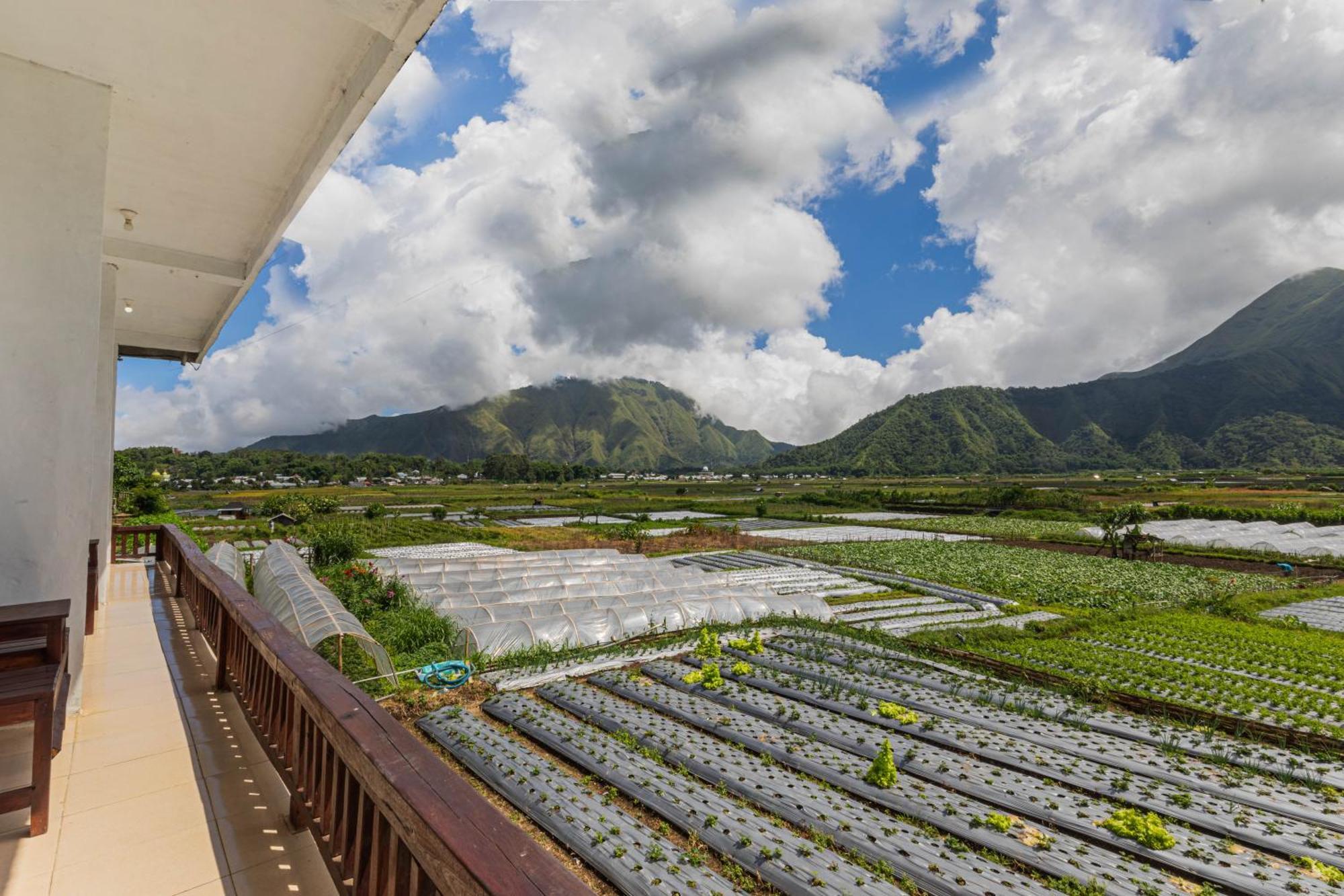 Teras Sawah Guest House Syariah 塞姆博伦拉旺 外观 照片