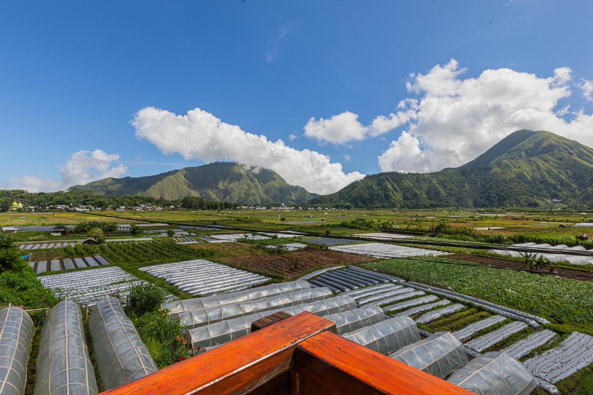 Teras Sawah Guest House Syariah 塞姆博伦拉旺 外观 照片